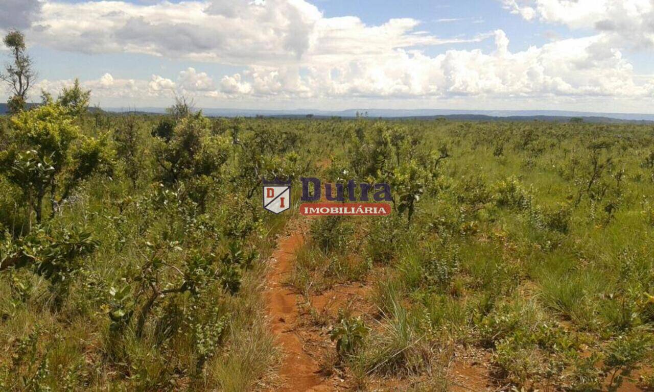 Fazenda Zona Rural, São Roque de Minas - MG