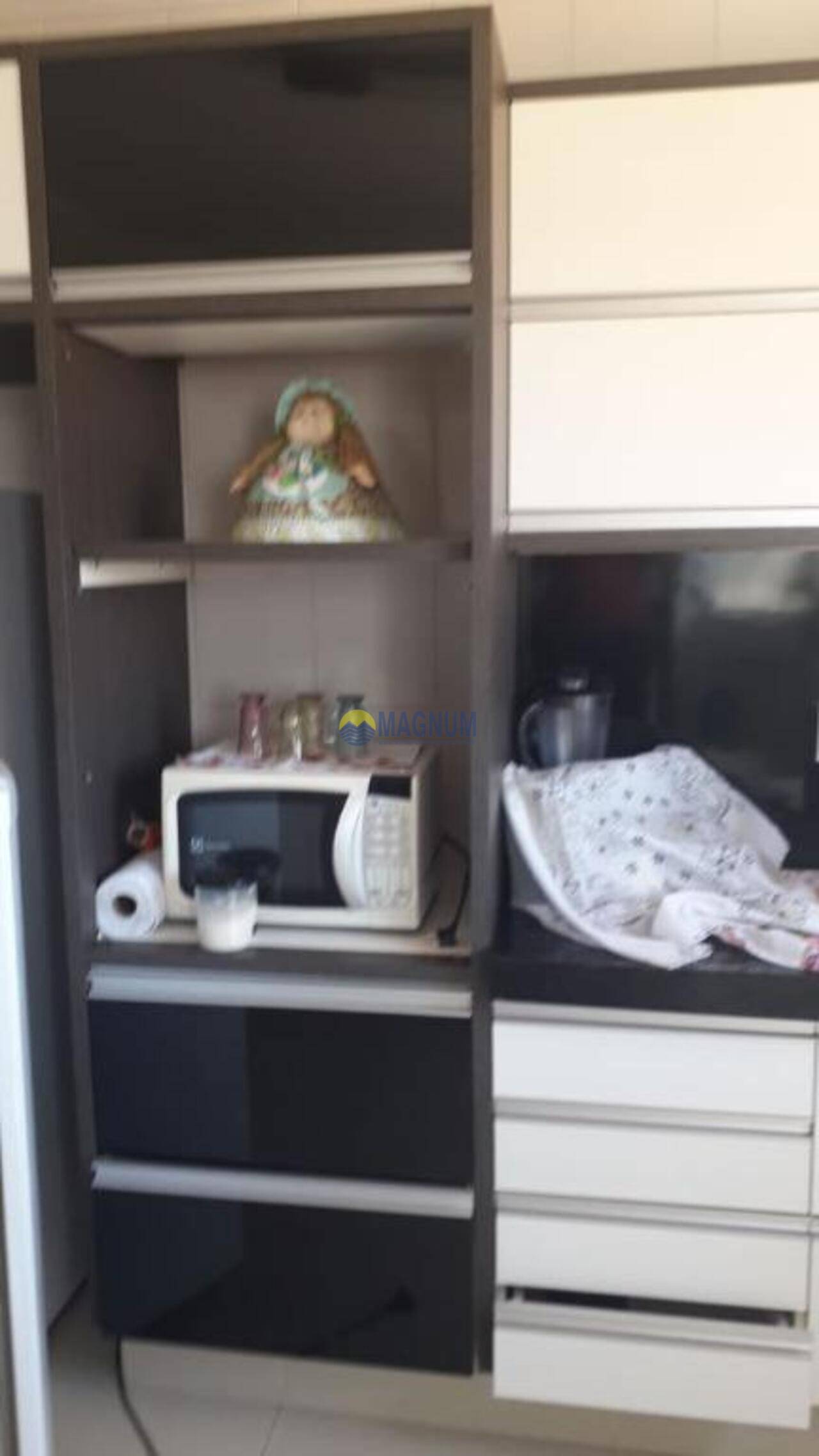 Apartamento Jardim Residencial Vetorasso, São José do Rio Preto - SP