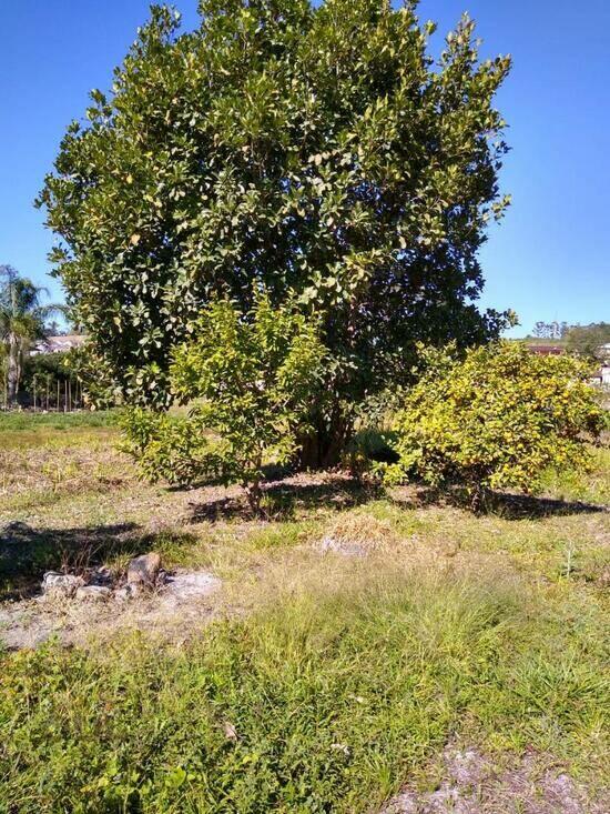 Água Doce - Tapiraí - SP, Tapiraí - SP