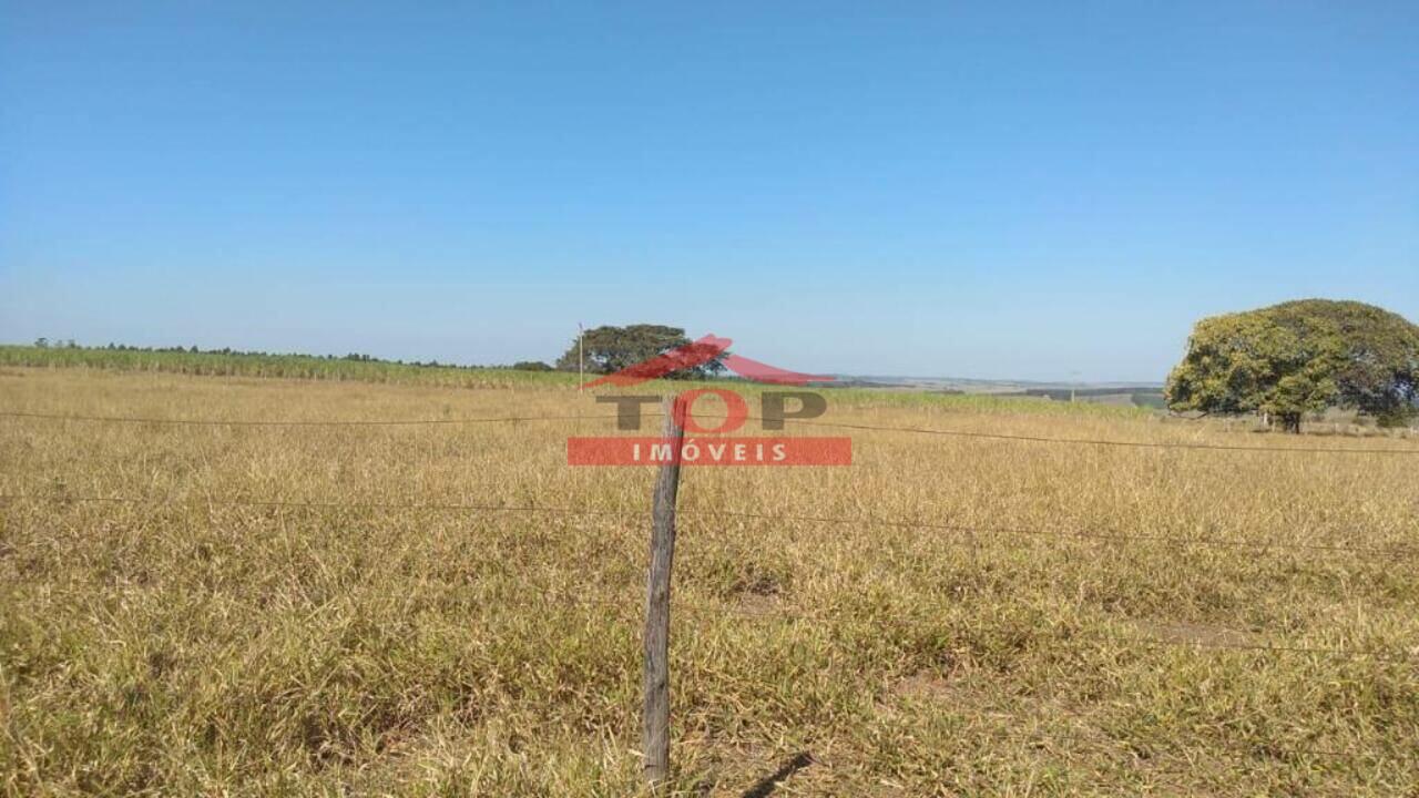 Fazenda Zona Rural, Presidente Alves - SP