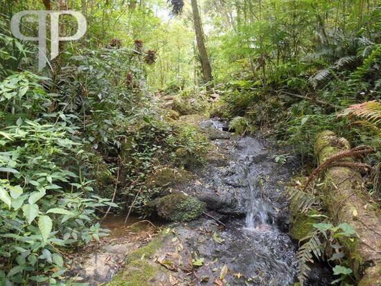 Areia Branca dos Assis  - Mandirituba - PR, Mandirituba - PR