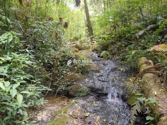 Areia Branca dos Assis  - Mandirituba - PR, Mandirituba - PR