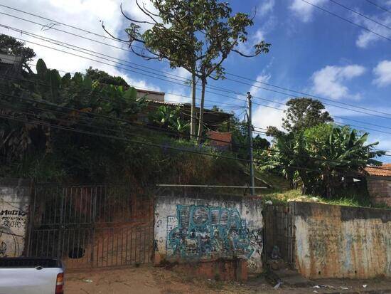 Jardim Virginia Bianca - São Paulo - SP, São Paulo - SP