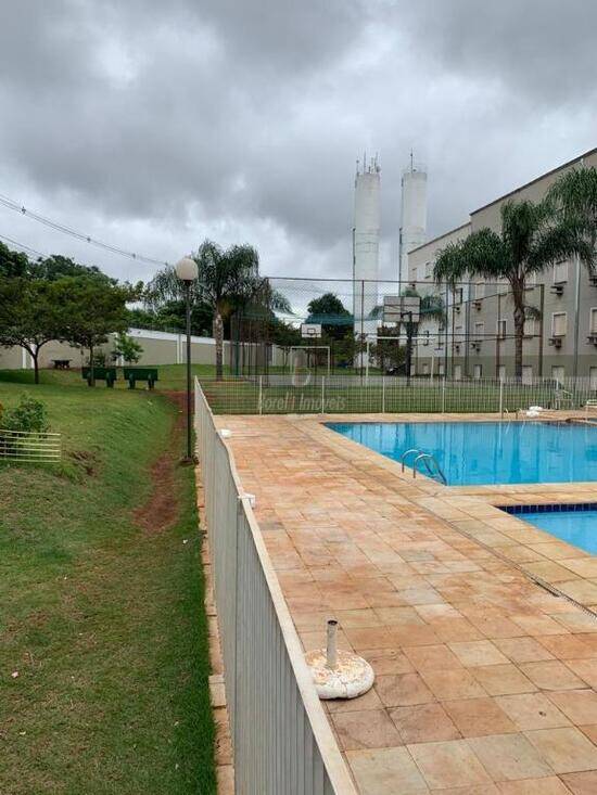 Vila Virgínia - Ribeirão Preto - SP, Ribeirão Preto - SP