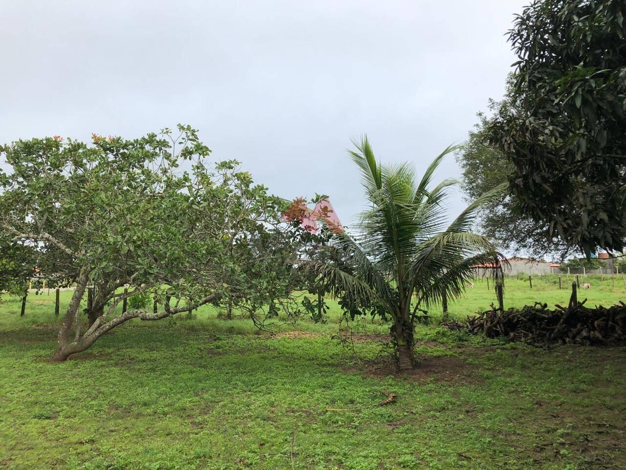 Sítio Magalhães, São Gonçalo dos Campos - BA