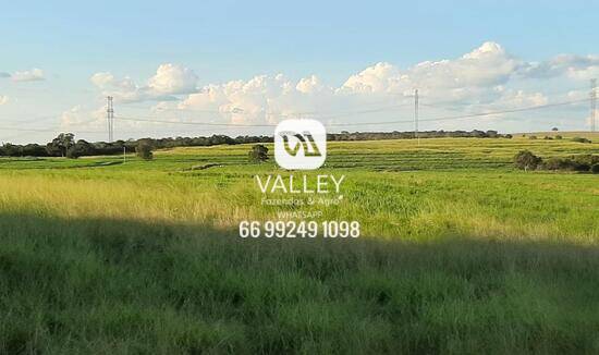 Fazenda à venda, 6.000 hectares, dupla aptdão, lavoura, plantio, pecuária, soja, milho. Guiratinga/Mato Grosso