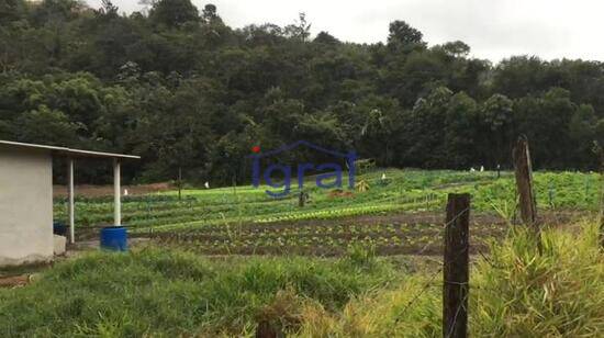 Terreno Bairro dos Mimis, Piracaia - SP