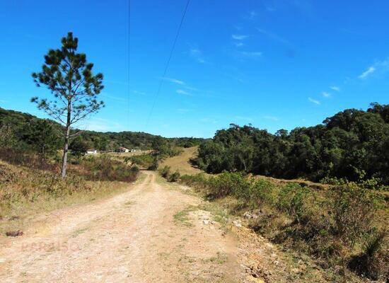 Zona Rural - São José dos Pinhais - PR, São José dos Pinhais - PR