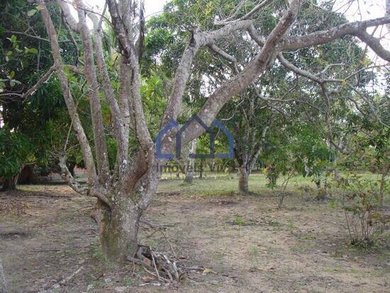 Carne de Vaca - Goiana - PE, Goiana - PE