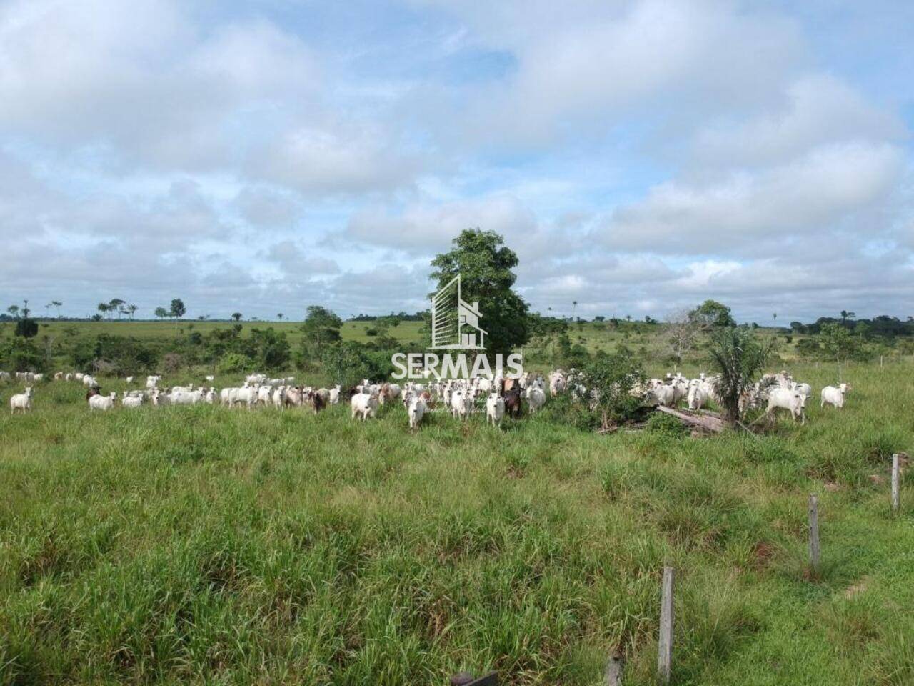 Fazenda Zona Rural, Nova Brasilândia D'Oeste - RO