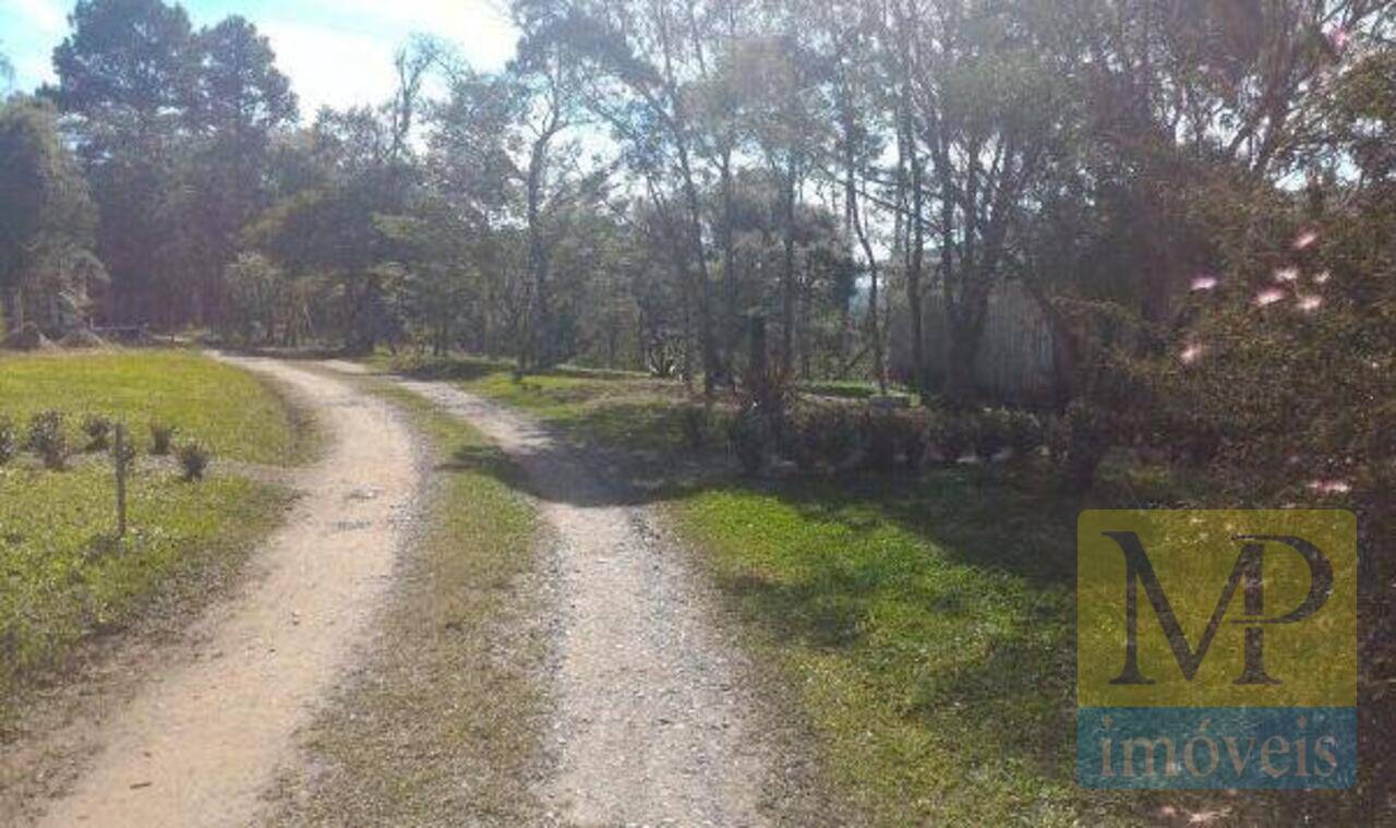 Sítio Zona Rural, Rio Negrinho - SC