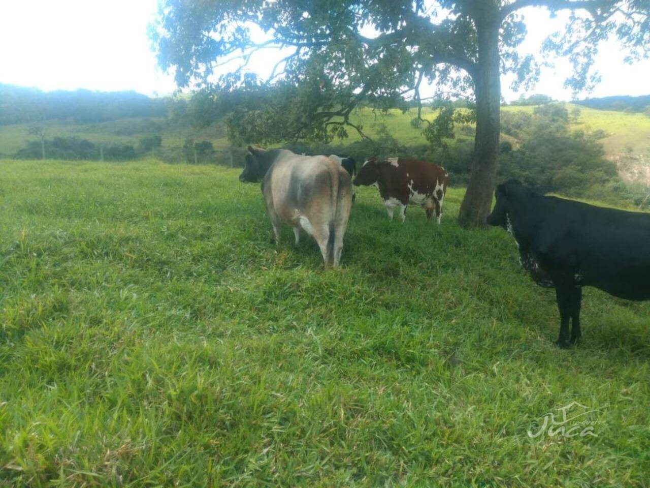 Fazenda Zona Rural, Presidente Olegário - MG