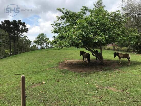 Testo Salto - Blumenau - SC, Blumenau - SC