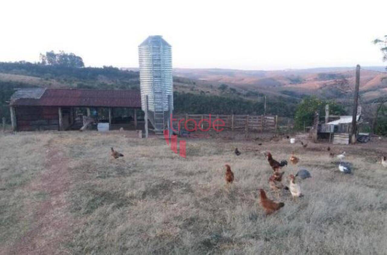 Fazenda Zona Rural, São Roque de Minas - MG