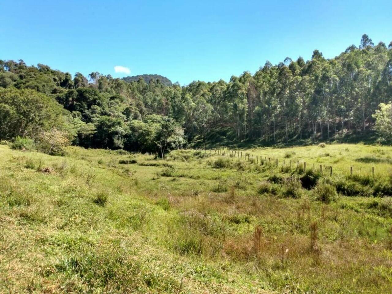 Fazenda Farias, Brasópolis - MG