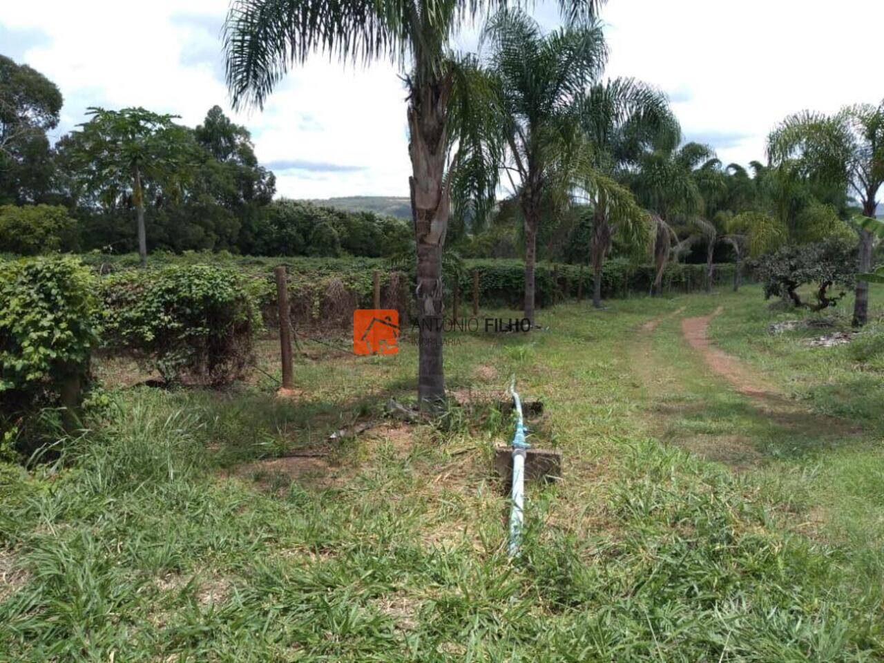 Fazenda Núcleo Rural Capão da Erva, Brasília - DF