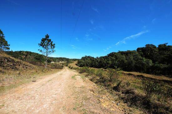 Zona Rural - São José dos Pinhais - PR, São José dos Pinhais - PR