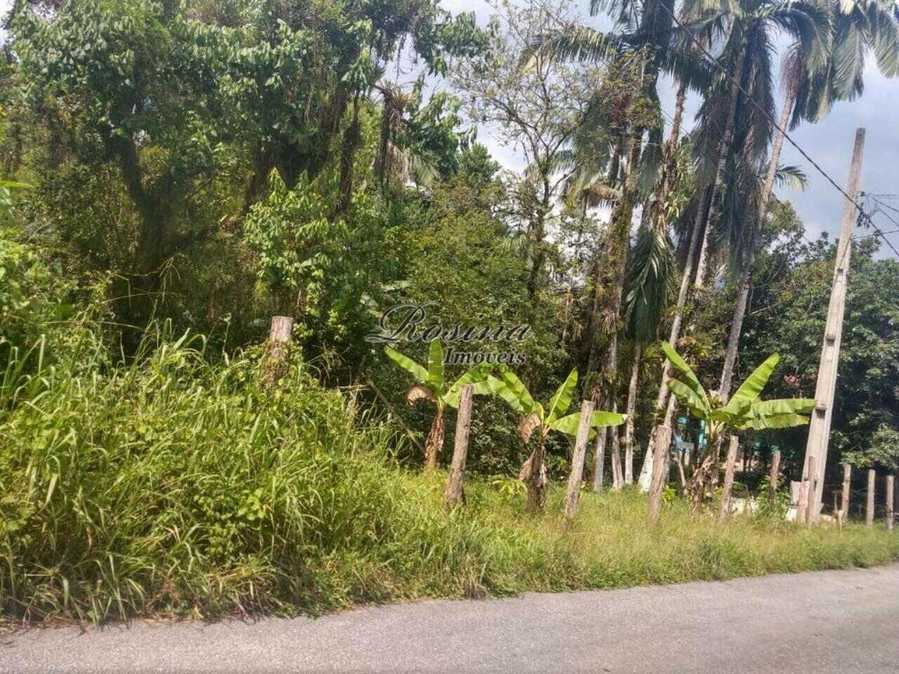 Terreno Barro Branco, Morretes - PR