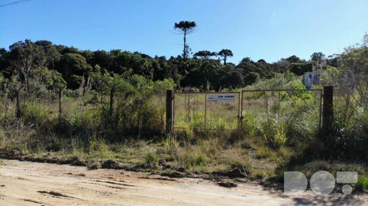 Área Cidade Industrial, Curitiba - PR