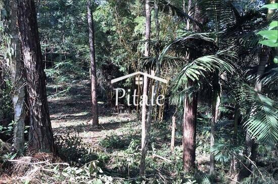 Centro - Taboão da Serra - SP, Taboão da Serra - SP