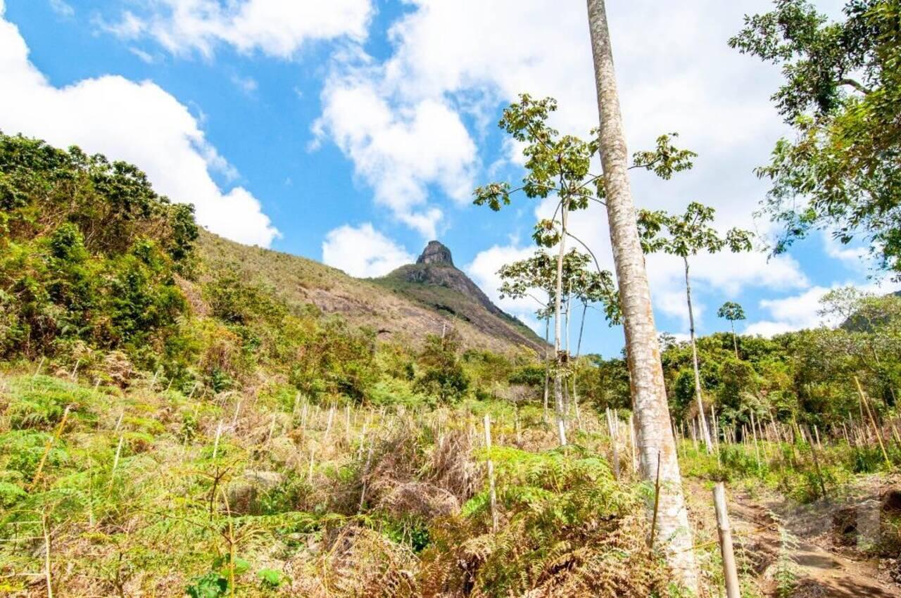 Fazenda Brejal, Petrópolis - RJ