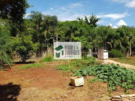 Assistência - Rio Claro - SP, Rio Claro - SP