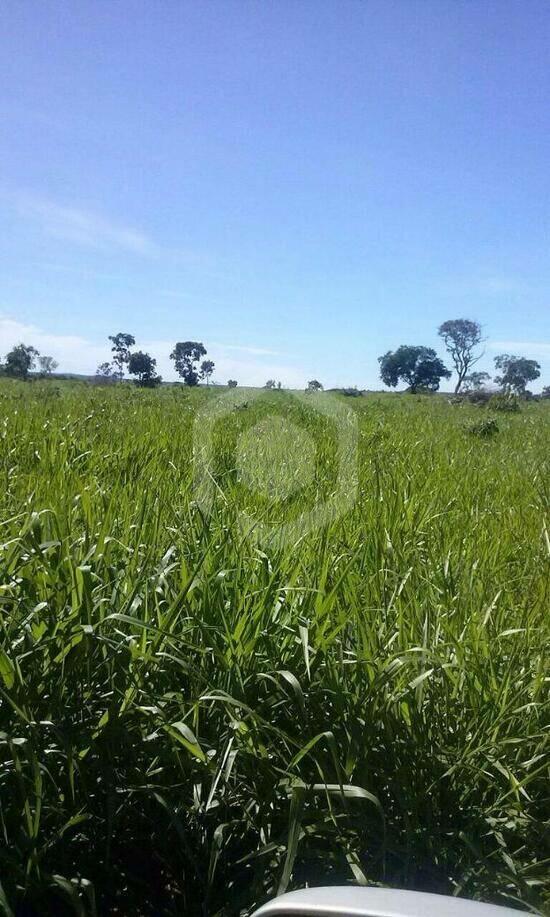 Fazenda Zona Rural, Bom Jardim de Goiás - GO