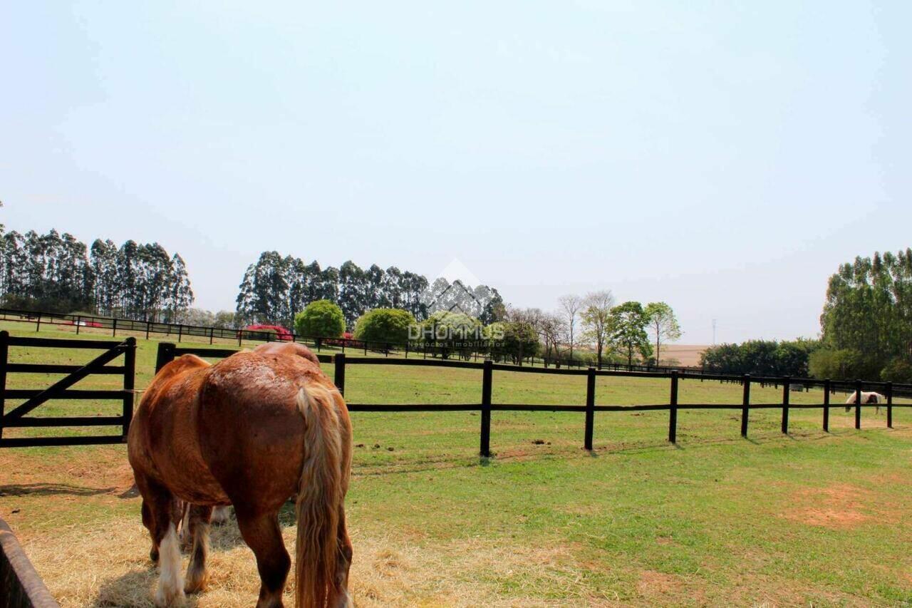 Gramado em toda área.