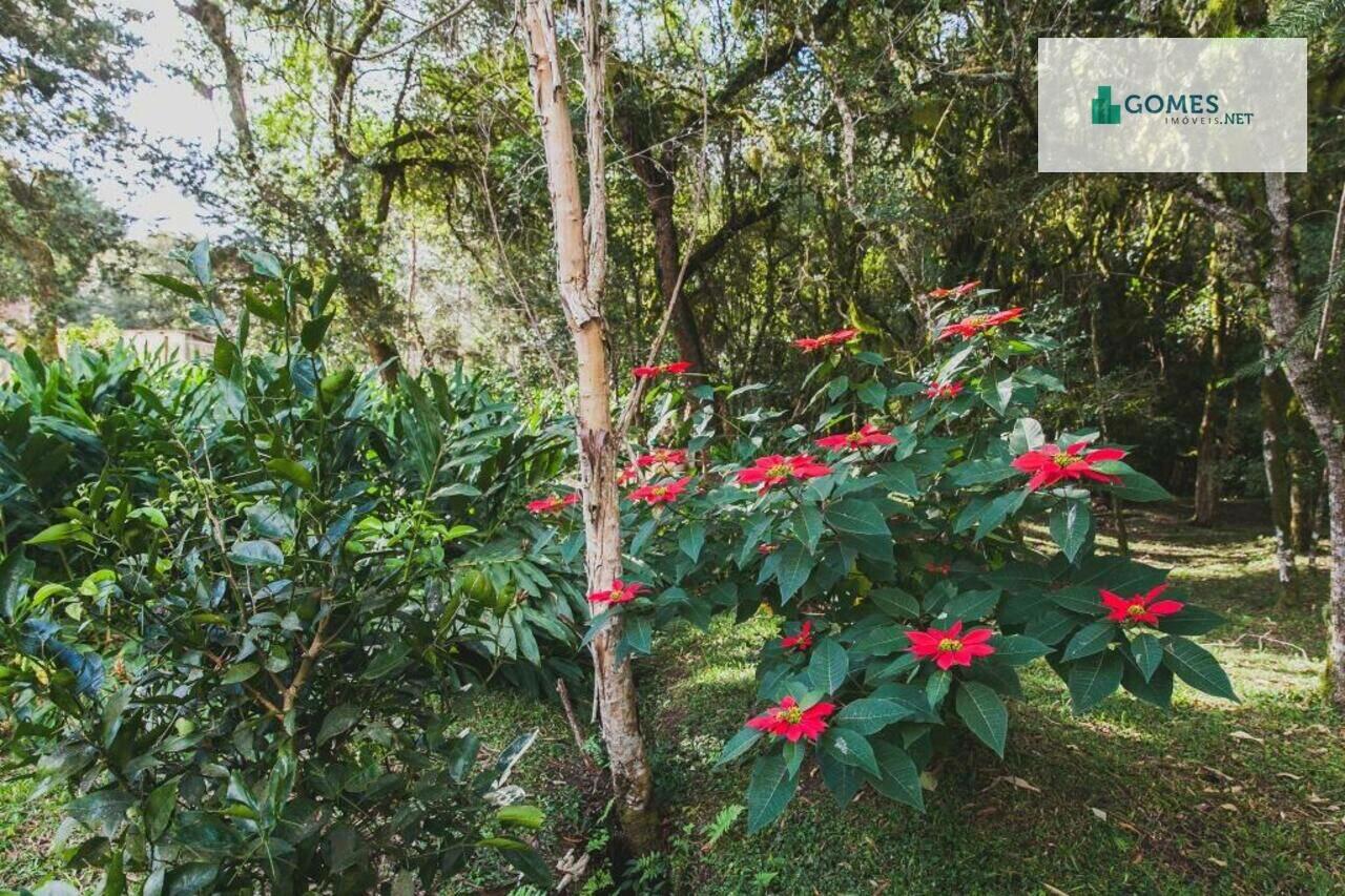 Chácara Chacrinha Nossa Senhora Do Rocio, Campo Largo - PR