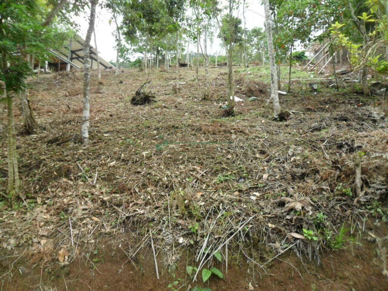 Terreno Vargem Grande, Teresópolis - RJ