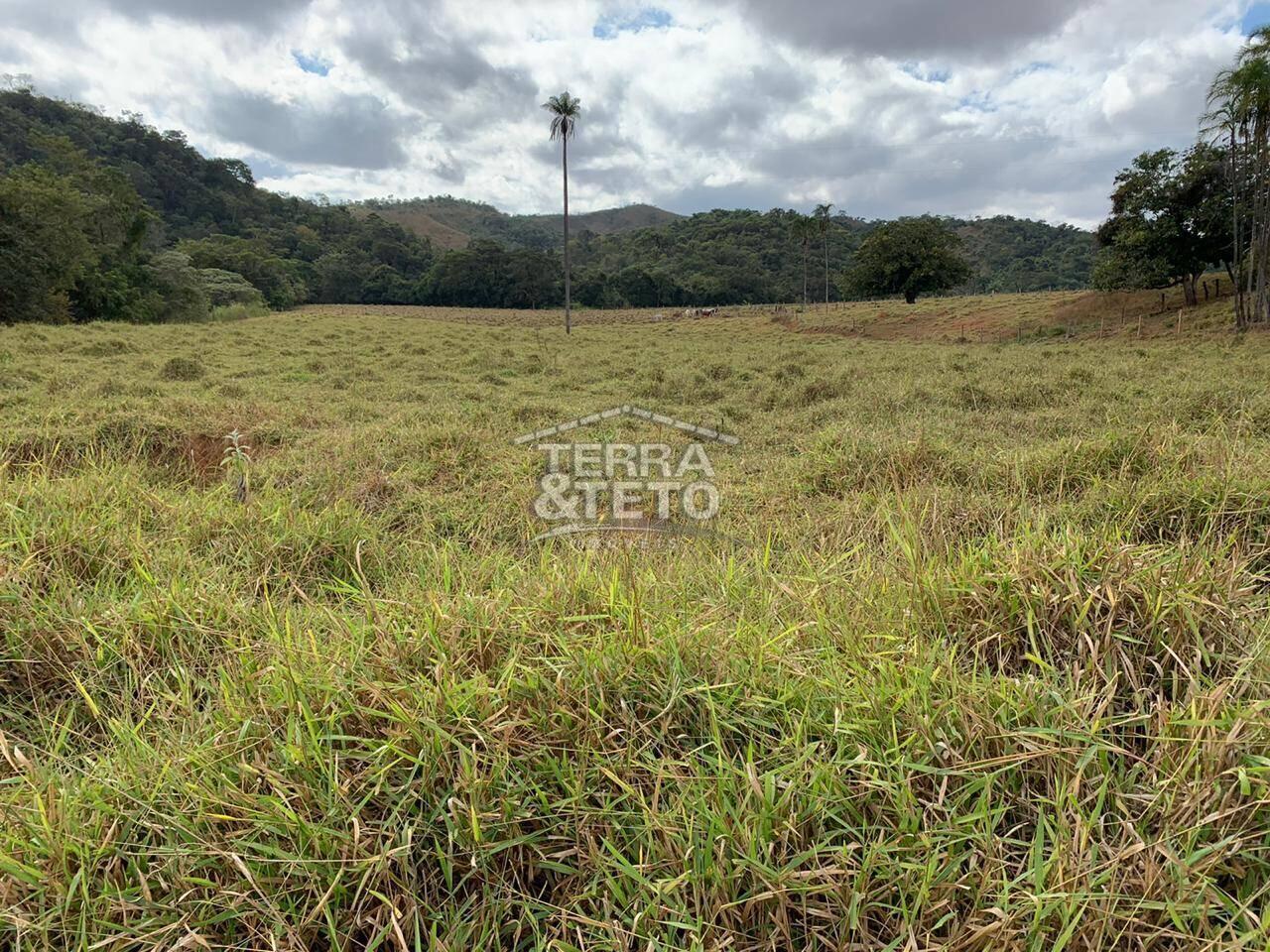 Fazenda Área Rural de Patos de Minas, Patos de Minas - MG