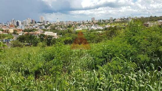 Vila Rio Branco - Americana - SP, Americana - SP