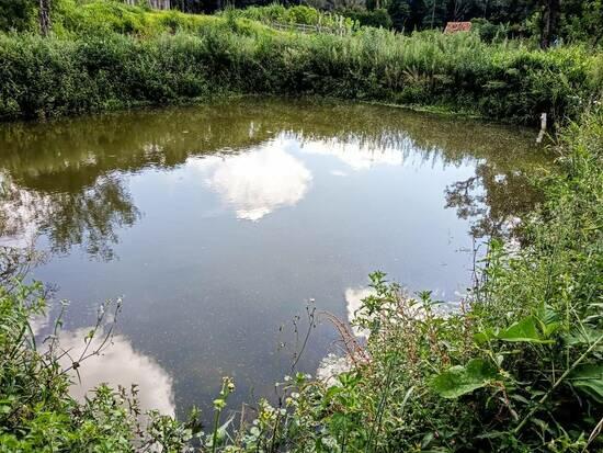 Chácara Zona Rural, Quitandinha - PR