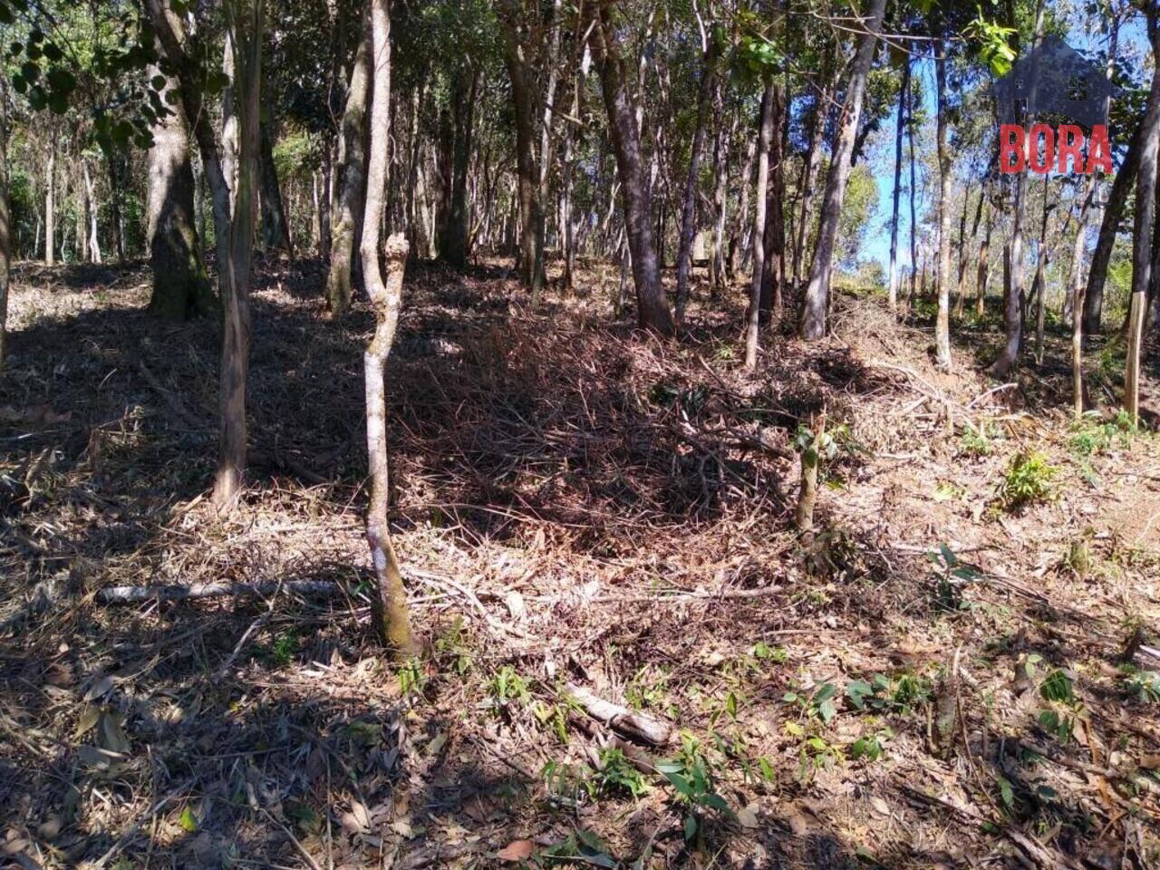 Terreno Mato Dentro, Mairiporã - SP