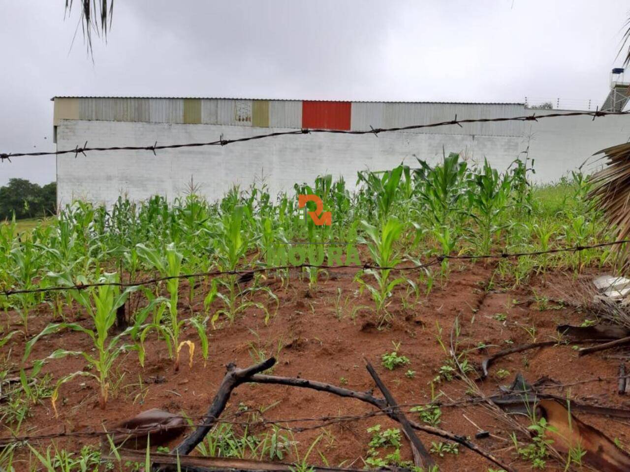 Terreno Jardim das Palmeiras, Alfenas - MG