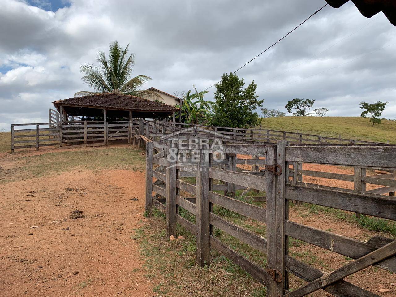 Fazenda Área Rural de Patos de Minas, Patos de Minas - MG