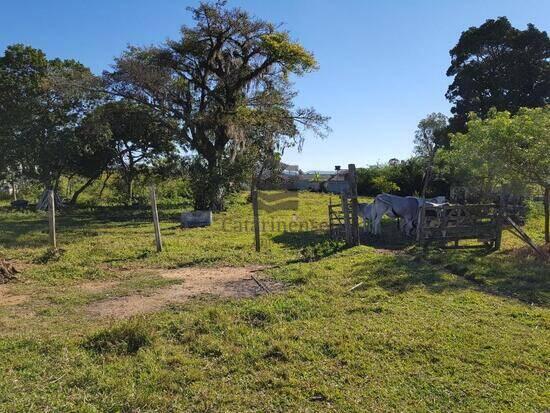 Barra do Aririú - Palhoça - SC, Palhoça - SC