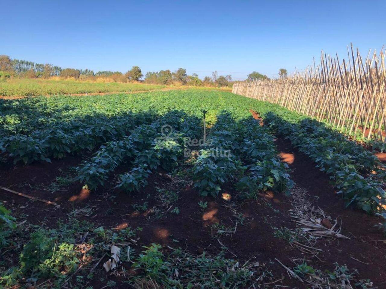 Terreno Brazlândia, Brazlândia - DF