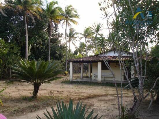 Carne de Vaca - Goiana - PE, Goiana - PE