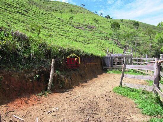 Palmeiras - Natividade da Serra - SP, Natividade da Serra - SP