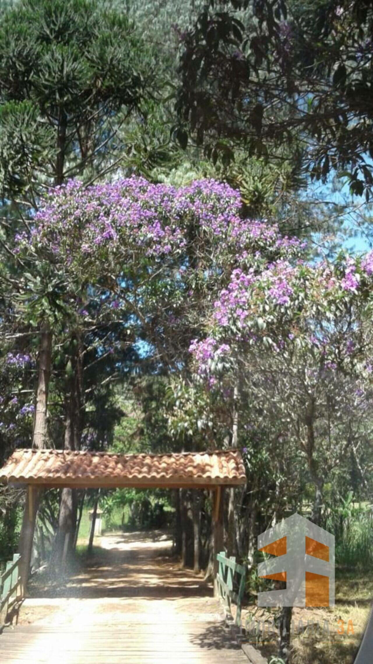 Sítio Cedro, Cunha - SP