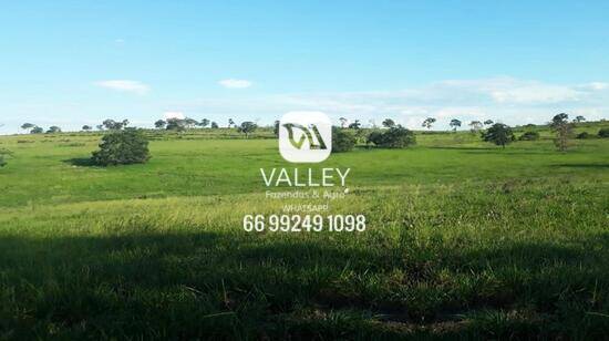 Fazenda à venda, 6.000 hectares, dupla aptdão, lavoura, plantio, pecuária, soja, milho. Guiratinga/Mato Grosso