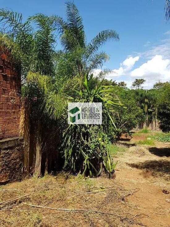 Assistência - Rio Claro - SP, Rio Claro - SP