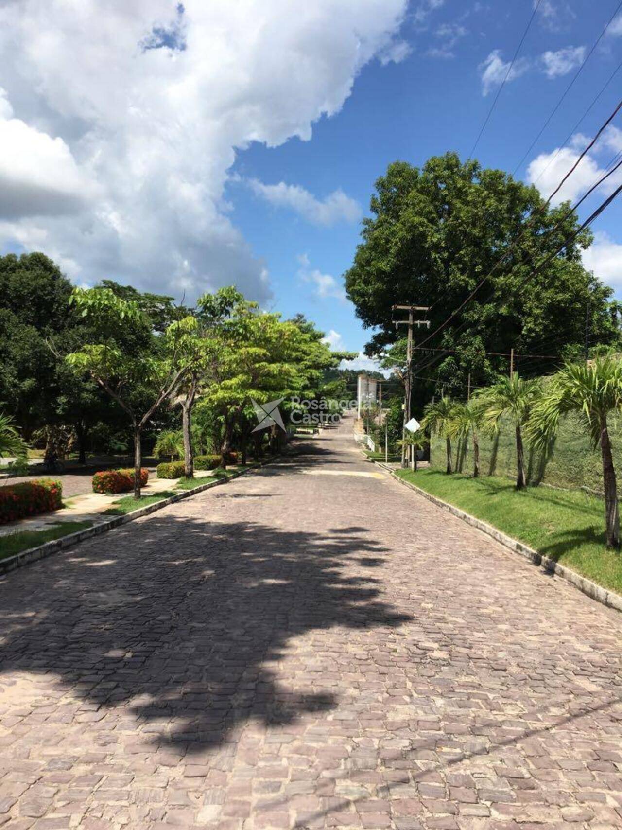 Casa Terra dos Pássaros, Teresina - PI