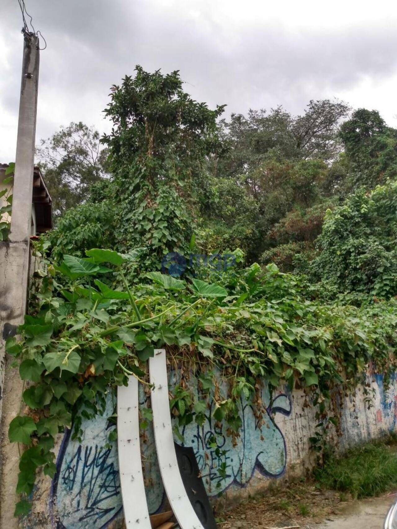 Terreno Horto Florestal, São Paulo - SP