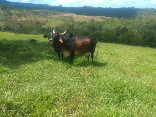 Fazenda de 80 hectares Zona Rural - Presidente Olegário, à venda por R$ 1.800.000