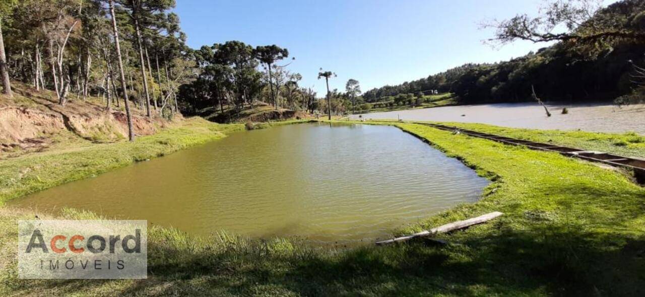 Área Palmitalzinho, Quatro Barras - PR