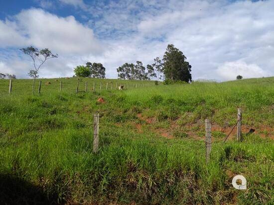 Bairro dos Rosas - Amparo - SP, Amparo - SP