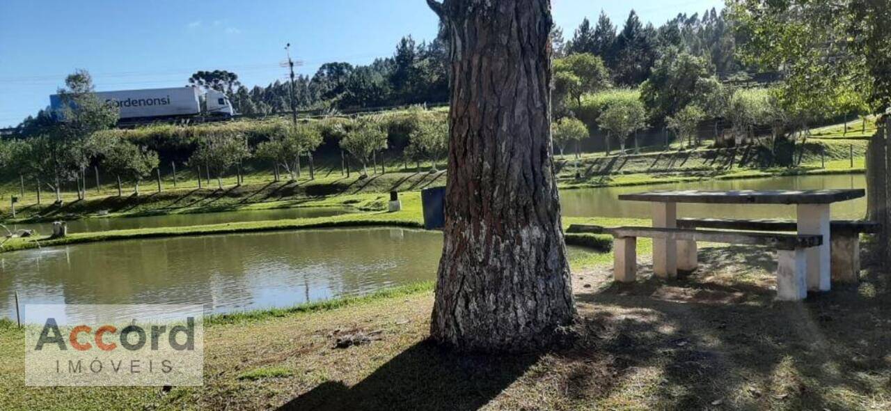 Área Palmitalzinho, Quatro Barras - PR