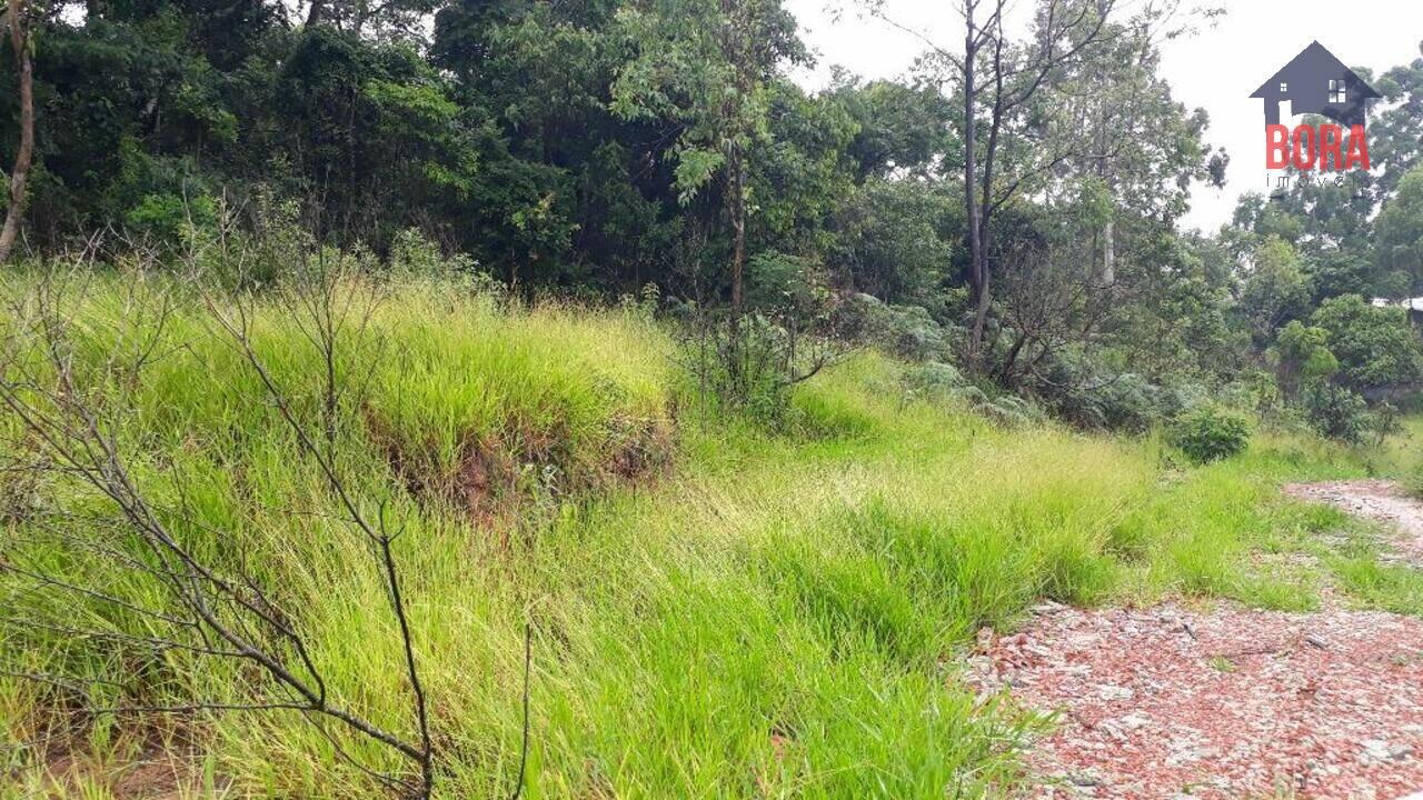 Área Terra Preta, Mairiporã - SP